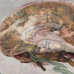 Mind of God